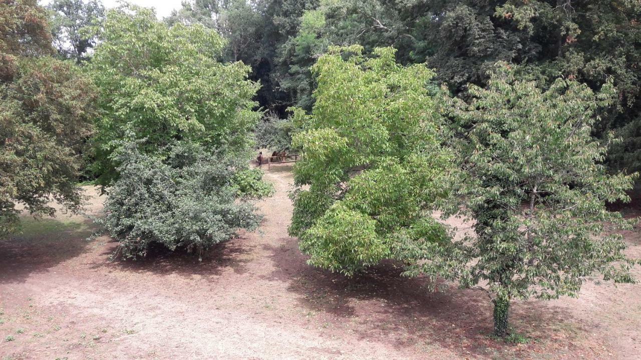 Bed and Breakfast Le Petit Plessis Ruaudin Екстер'єр фото